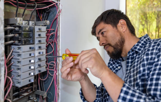 Best Affordable Electrician  in Plymouth, MI